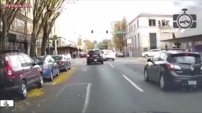 Idiot Tesla driver