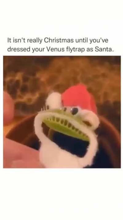 merry Christmas ?❄?