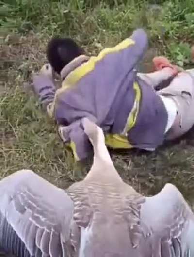 "Come back here, assh0le!