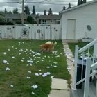 Uh oh, Busted!