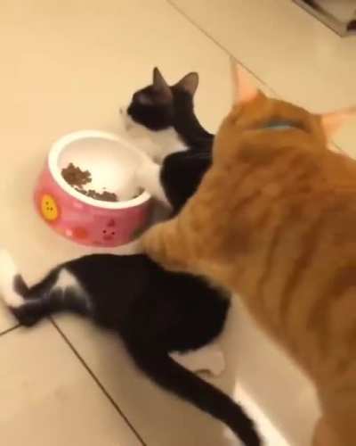 I'm hungry damn it!