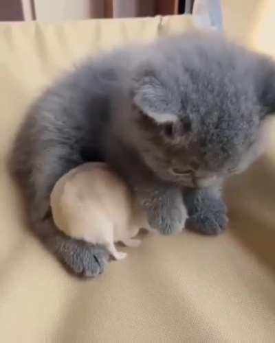 Best friends