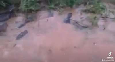 HMB while I go mess with ?