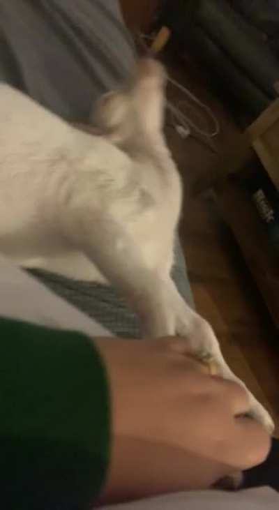 ?