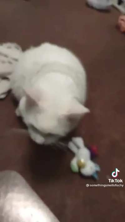 Unicorn yell
