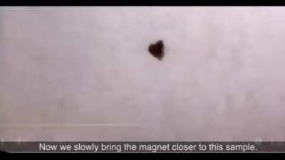 A huge moment in all of humanity!! Berkeley and scientists from China have managed to replicate the findings of Korean scientists(LK-99 semiconductor) twice!!