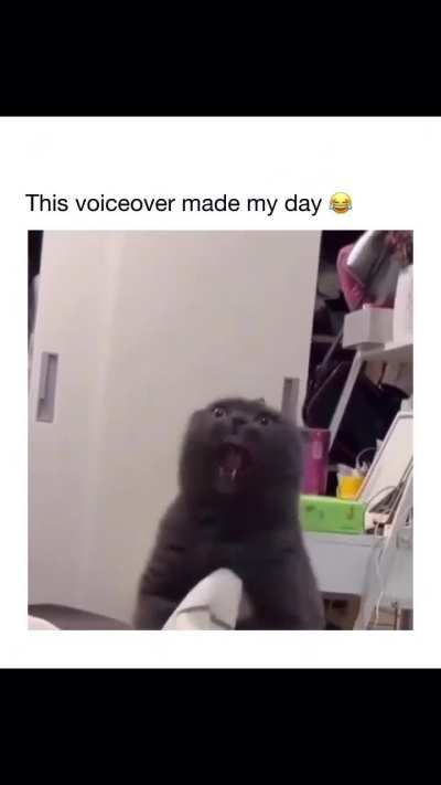 This voiceover ?