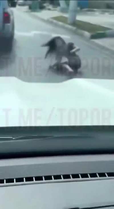 girl hanging out of a car window