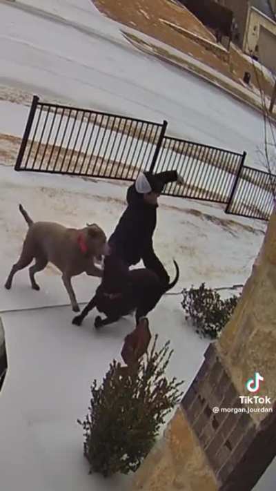When a Texan falls during an ice storm…?