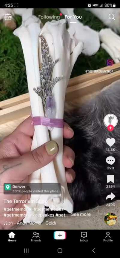 I got nothing.