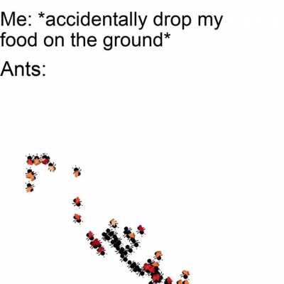 C'mon man!