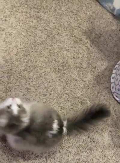 Her only sounds