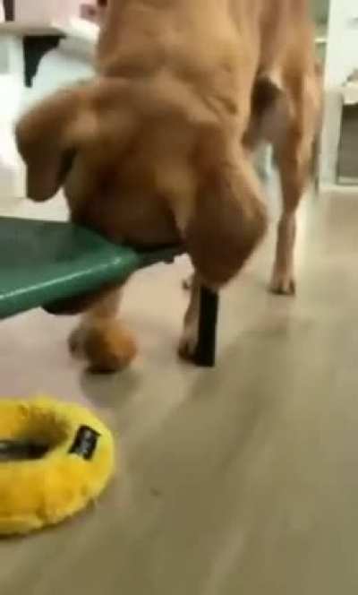 Doing his best