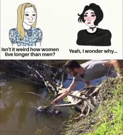 See ya later alligator