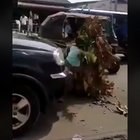 Kid vs tree