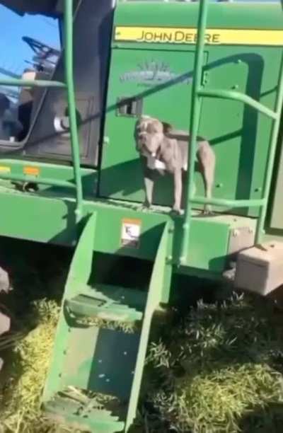 Maybe maybe maybe