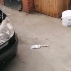 I'll help you daddy