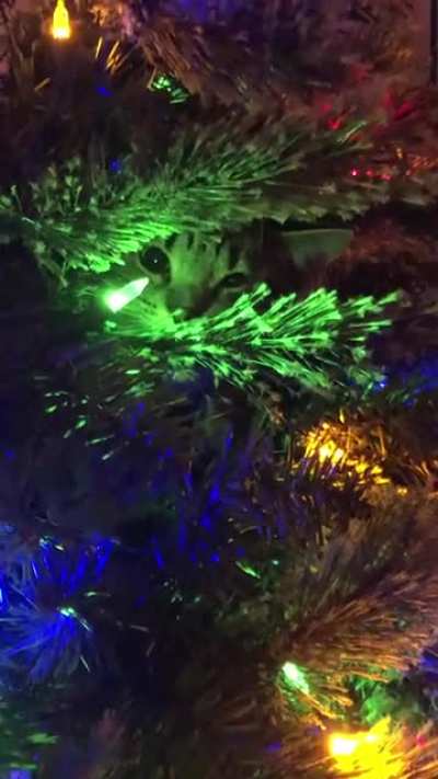 Santa beware