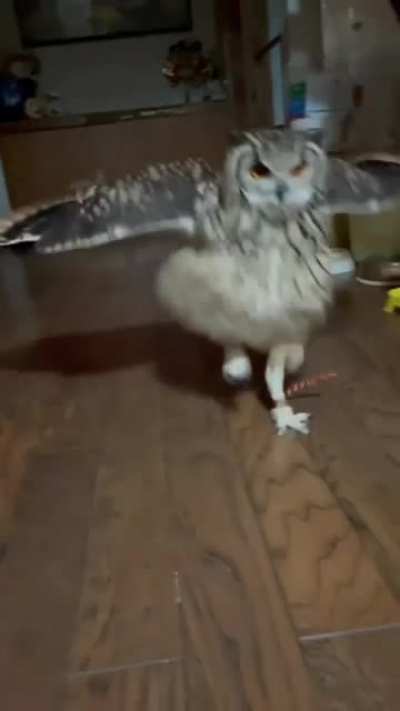 Look at me flying.