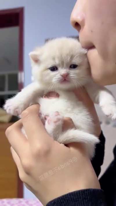 Nyom