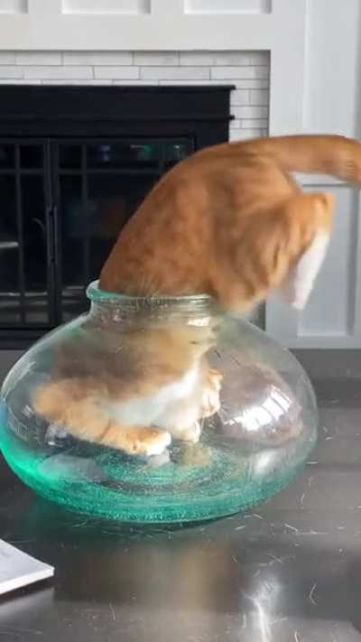 i found a strange liquid