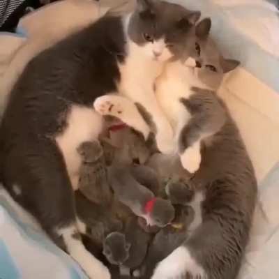 FAMILY❤❤❤❤