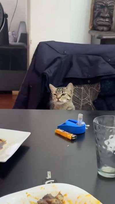 Always plotting