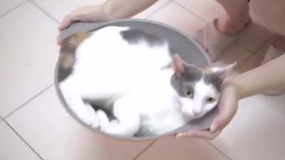 Bowl of soup
