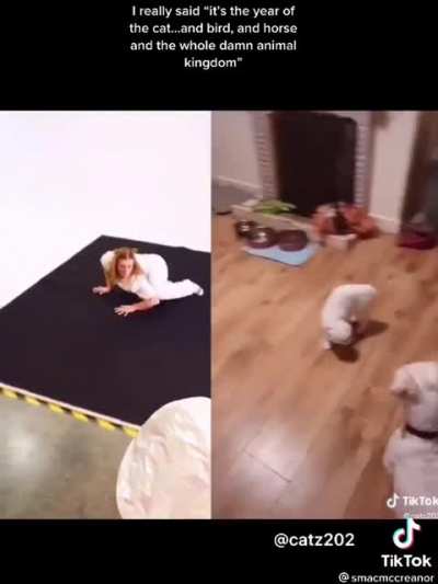 Contemporary Choreography ?