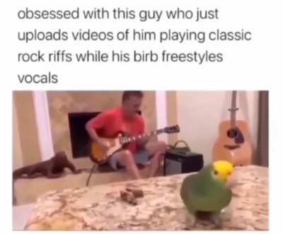 Bird Freestyles to Classic Rock Riffs ?