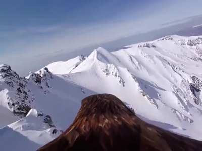 Eagle viewpoint