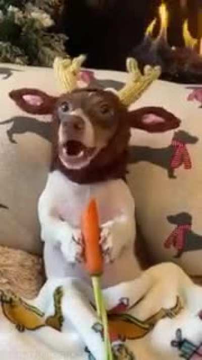 NomNom