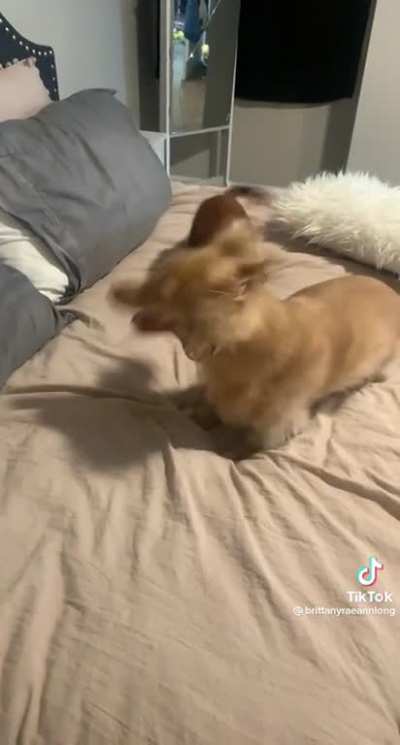 Sneezy Boi