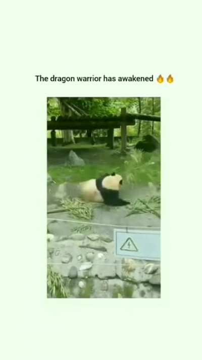 Kung fu panda ?