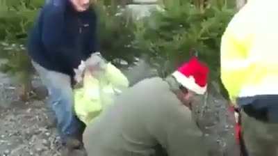 So that's how you wrap up a Christmas tree.