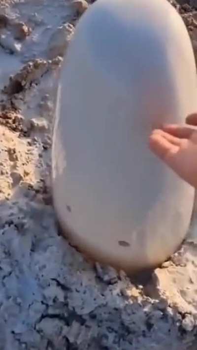 ?Artesian spring forming a laminar flow