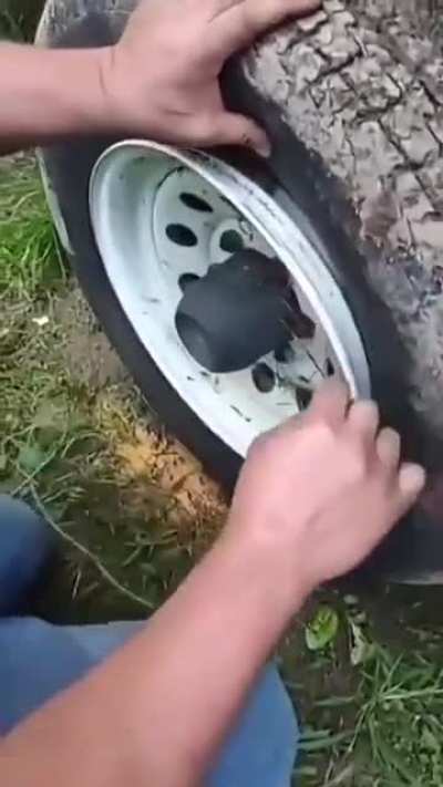 Ideas from internet