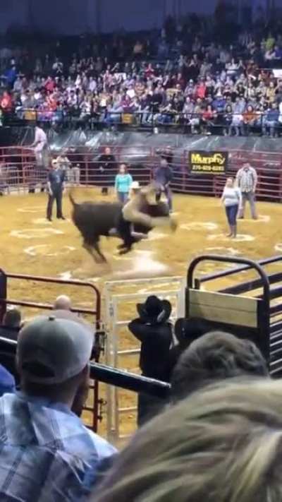 Signalling a bull to "Bring it on"