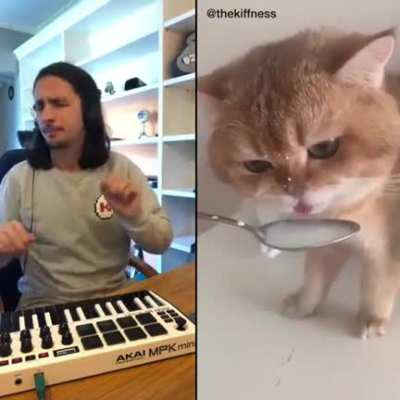 The Kiffness X NumNum Cat (Live Looping Balkan Remix)