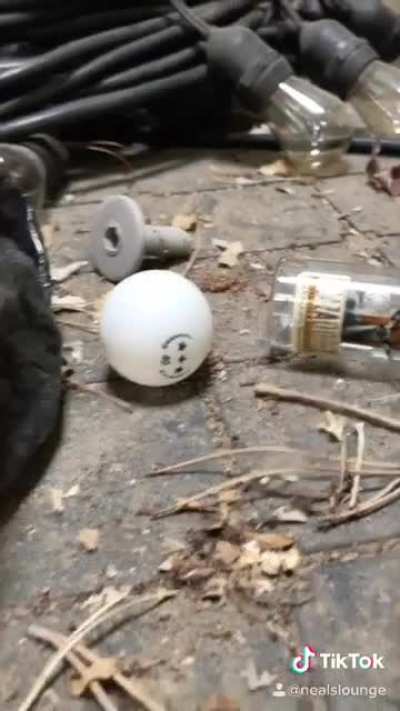 Amazing trick shot.
