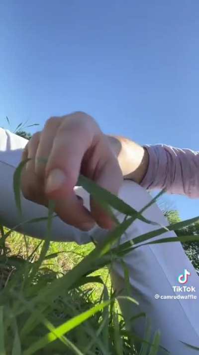 Edging grass