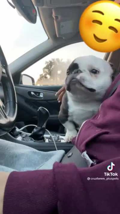 Such a cute face