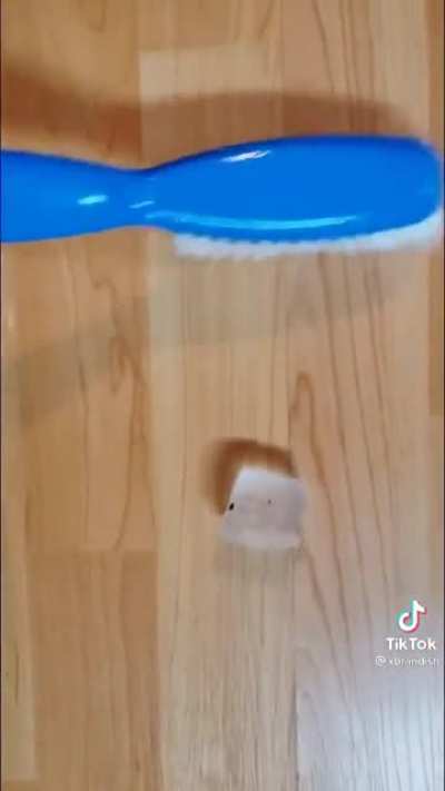 Can’t believe they caught this on camera