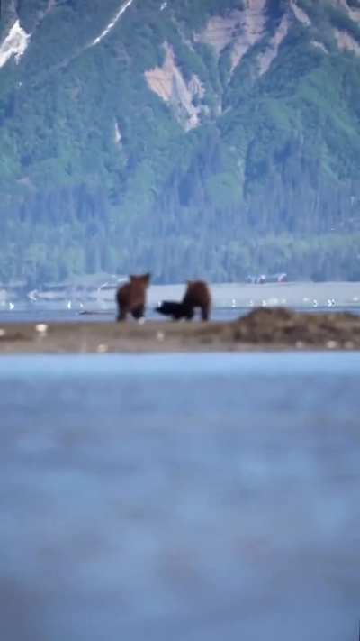 ? Cutest video you'll see today.