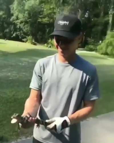 Ah yes take the croc’s child