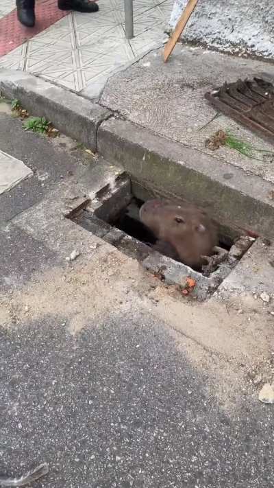 Hmm, I wonder what's in here