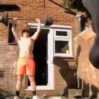 Dog pissing on camera