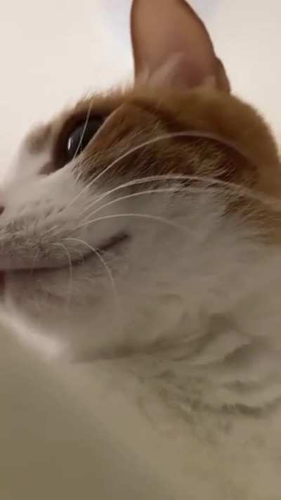 the best sounds you'll hear today
