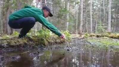 Children in Hokkaido are taught from a young age: NEVER STEP IN PUDDLES