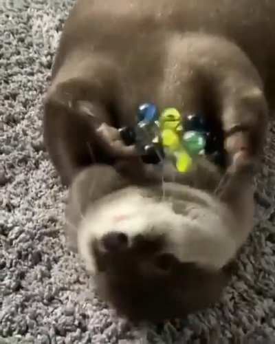 So excited to play ?
